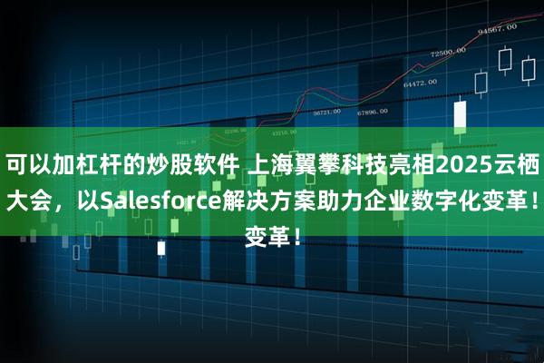 可以加杠杆的炒股软件 上海翼攀科技亮相2025云栖大会，以Salesforce解决方案助力企业数字化变革！